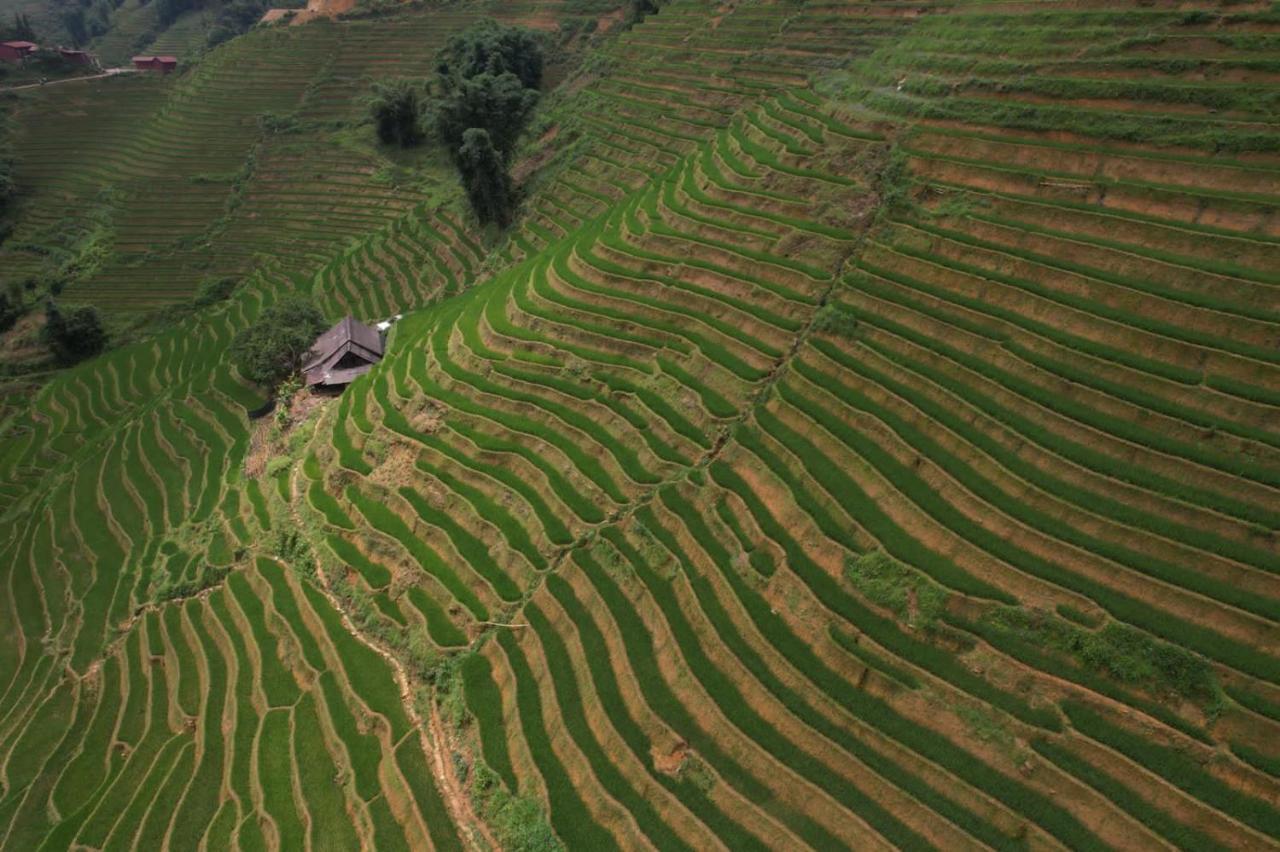 L'Auberge Des Amis Sapa 外观 照片